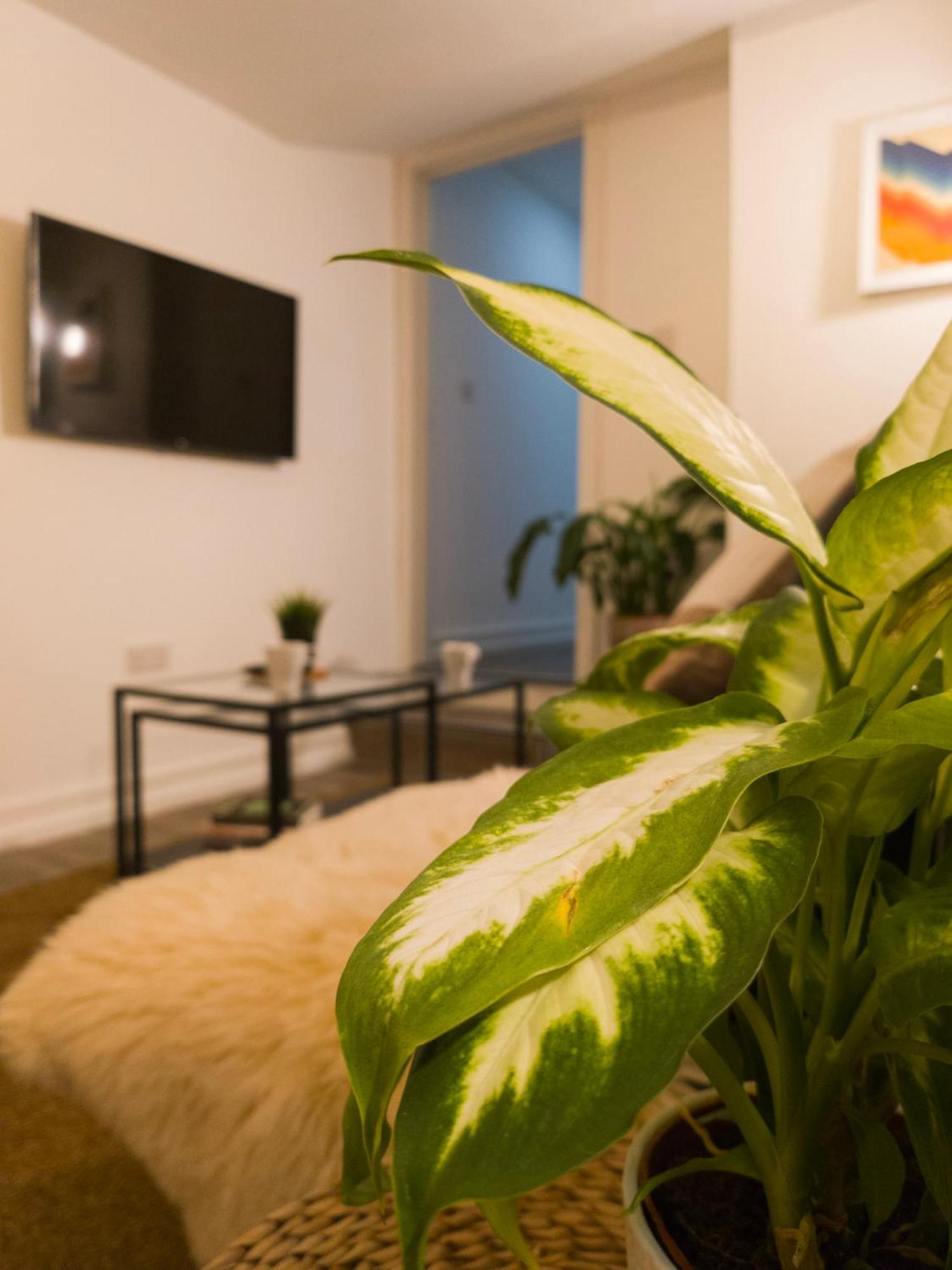 Plenty Of Parking Available; 3 Bedroom Apartment By Property Promise Cardiff Ngoại thất bức ảnh